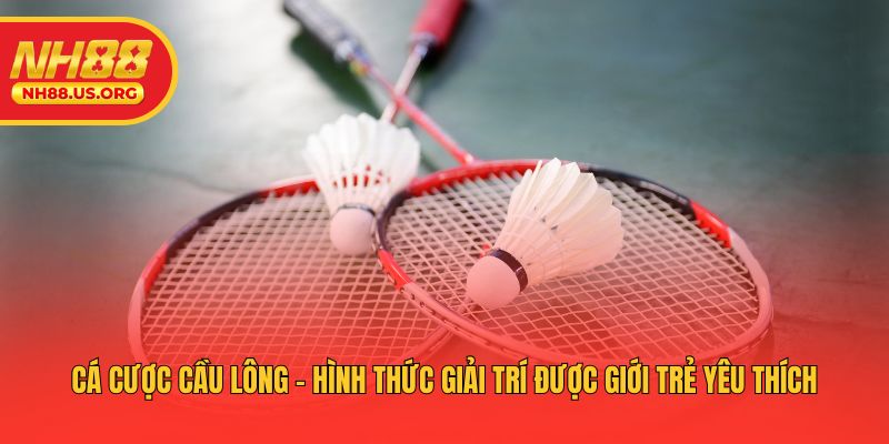 Cá cược cầu lông - Hình thức giải trí được giới trẻ yêu thích