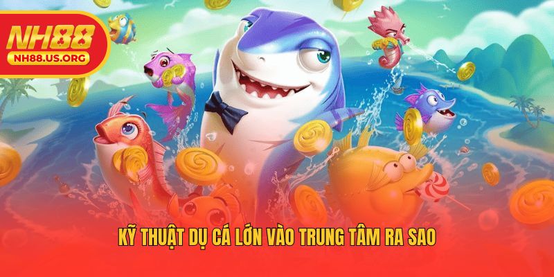 Kỹ thuật dụ cá lớn vào trung tâm ra sao
