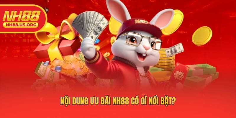 Nội dung ưu đãi NH88 có gì nổi bật?