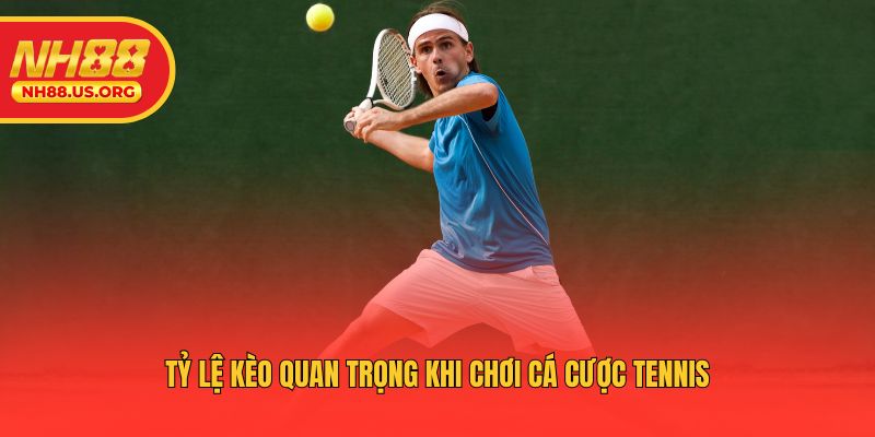 Tỷ lệ kèo quan trọng khi chơi cá cược tennis